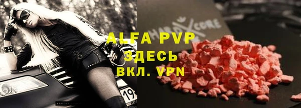 стаф Алексин