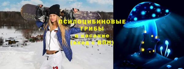 стаф Алексин