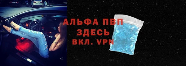 стаф Алексин