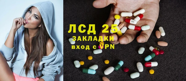 стаф Алексин