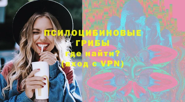 стаф Алексин