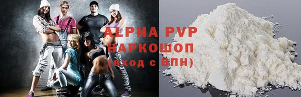 стаф Алексин