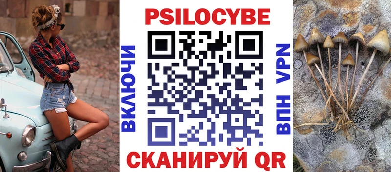 купить наркотик  MEGA сайт  Галлюциногенные грибы Psilocybine cubensis  Пласт 